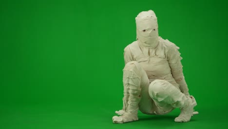 mummy character moving on green screen