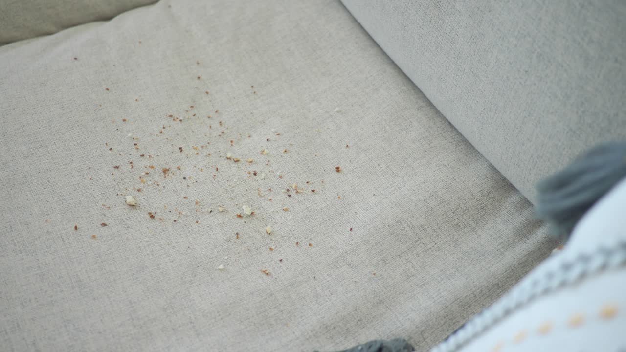 Crumbs on a sofa