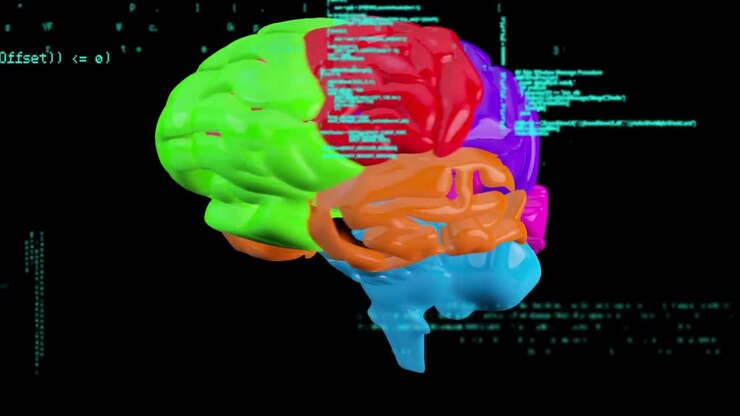 Multicolored rotating brain