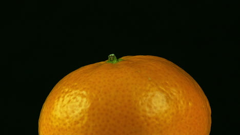 extreme isolated fruit close up: clementine orange revolves on black