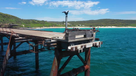 cormorant fishing bird drying wing feathers on disused pier, aerial view