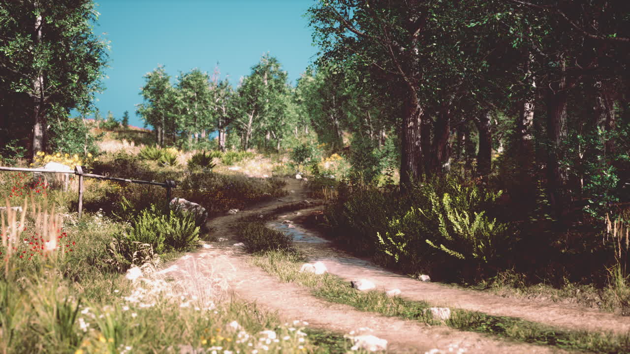 안개 가 많은 아침 에 낙 ⁇  숲 에 있는 시골 도로