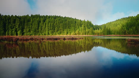 Bergsee-Umgeben-Von-Grünen-Hohen-Kiefern