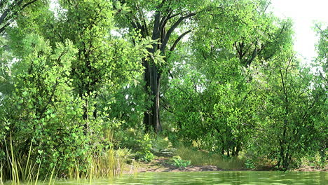 Lago-Escénico-En-El-Parque-De-Verano