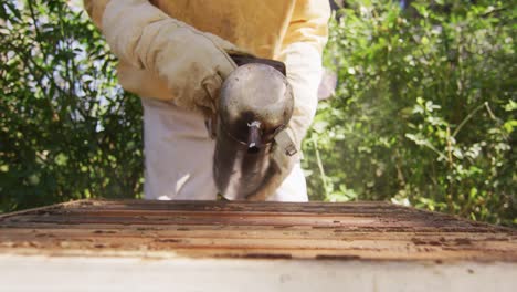 Kaukasischer-Männlicher-Imker-In-Schutzkleidung,-Der-Einen-Raucher-Verwendet,-Um-Bienen-In-Einem-Bienenstock-Zu-Beruhigen