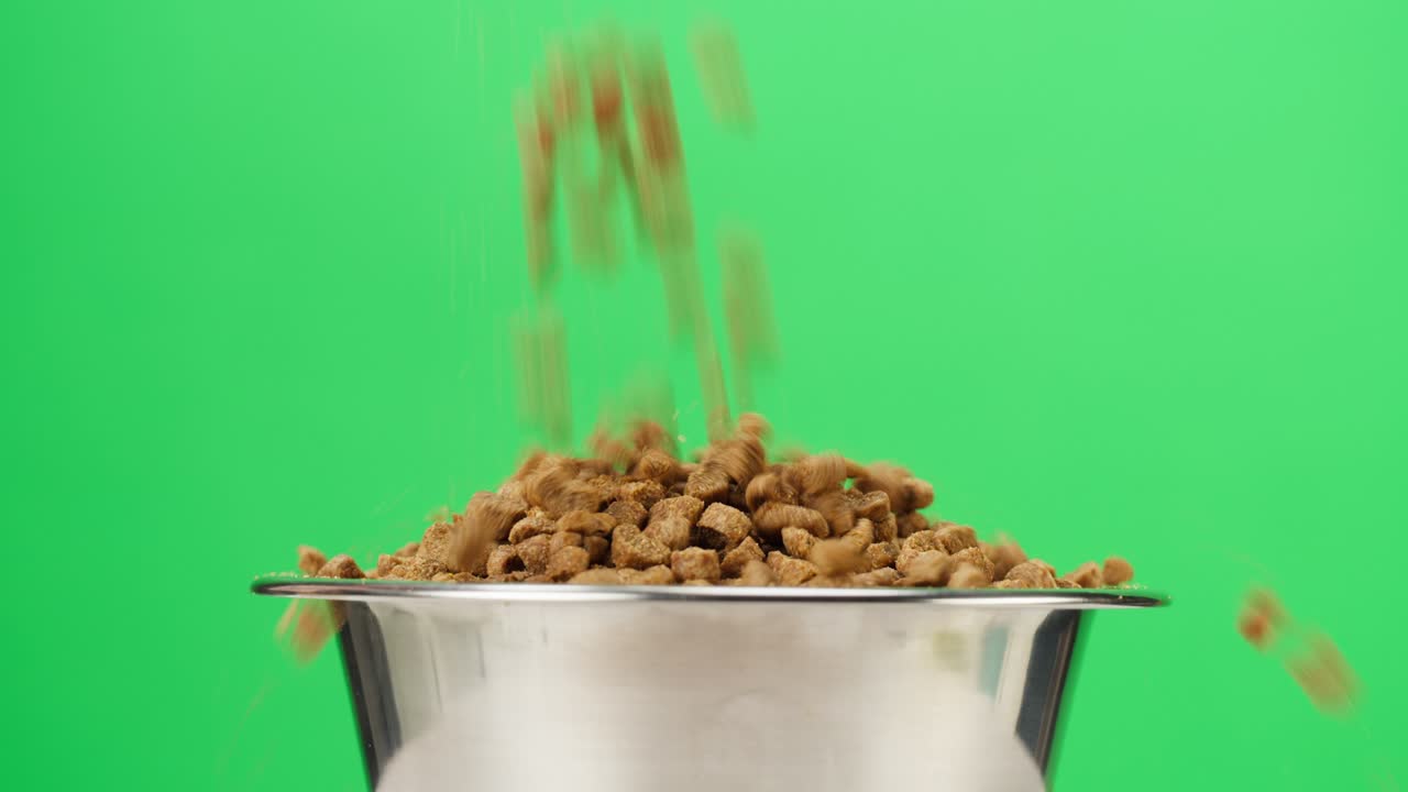 verter comida seca para perros en un cuenco de metal de primer plano. gránulos que caen en un plato sobre un fondo verde. alimentar animales domésticos, golosinas para cachorros. comida crujiente para gatos de pedigrí. tienda de mascotas y entrega