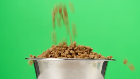 pouring dry dog food into metal bowl close-up. granules falling into dish on green background. feeding domestic animals, treats for puppies. crunchy meal for pedigree cats. pet shop and delivery