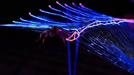 araña brillante en una red bioluminescente