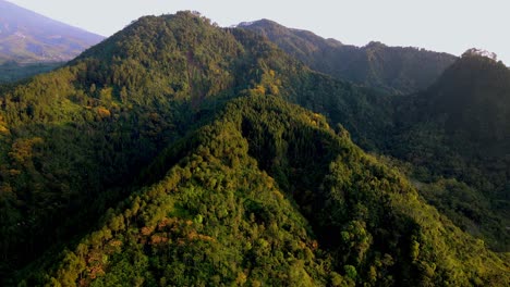 stunning drone view of green forest on the hill