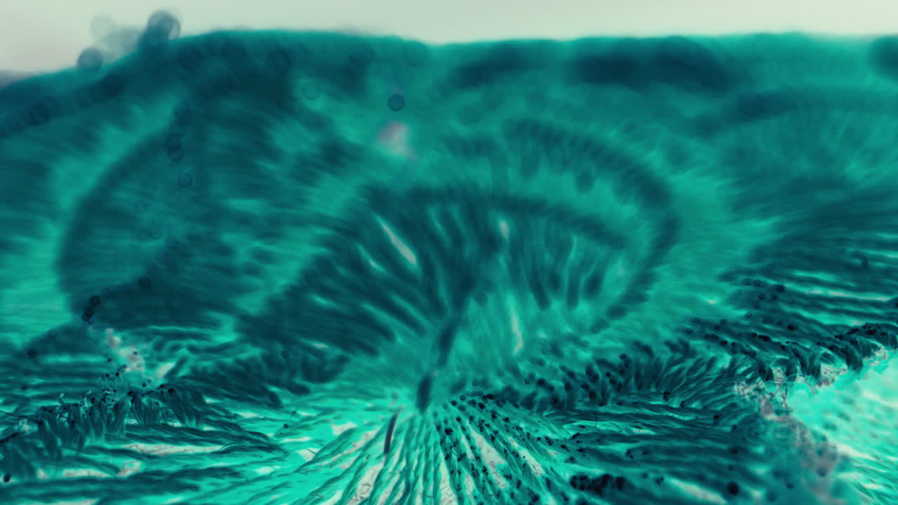 Microscopic Image of Biological Sample