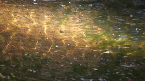 cámaras panorámicas con patrones de refracción de la luz moviéndose río abajo en el arroyo