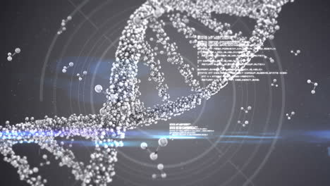 dna interface