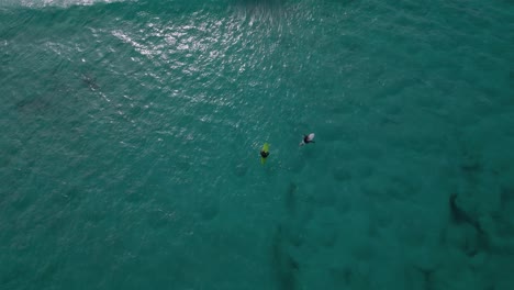 Two-surfers-surfing-at-blue-and-clear-turquoise-waves-in-the-sea-ocean-water