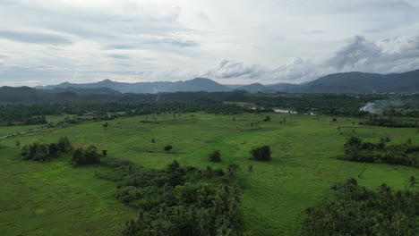 Aerial-view-of-open-valley-full-of-palm-trees-and-rice-fields-with-mountainous-background-and-stunning-cloudscape