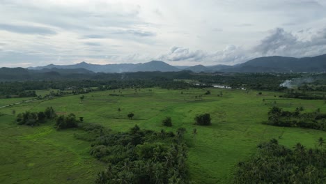 Vista-Aérea-Del-Valle-Abierto-Lleno-De-Palmeras-Y-Campos-De-Arroz-Con-Un-Fondo-Montañoso-Y-Un-Impresionante-Paisaje-Nublado