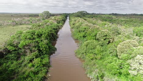 a forward-moving drone shot showcasing the lush greenery along a riverbank in punta lara, buenos aires. the camera captures the rich vegetation and winding river.