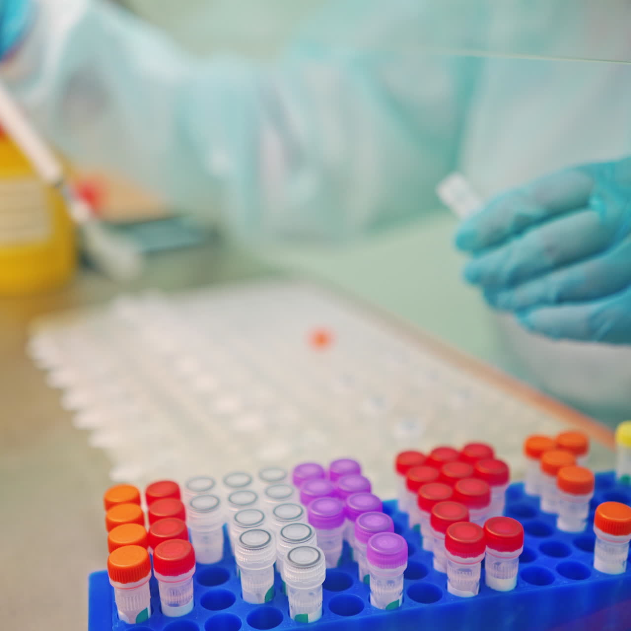 Test tubes on a rack on the laboratory table. Medical assistant in protective uniform and gloves working with vials of samples in scientific clinic.
