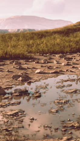 serene landscape with rocks and puddles