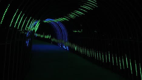 festival de luces led en el parque - pluma de pavo real en cámara lenta