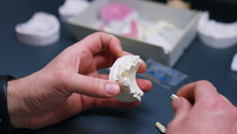 male hands hold the plastic denture. one tooth is removed and changed into another. close up.