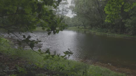 side slide, natural water lake with green trees around it, cloudy, summer