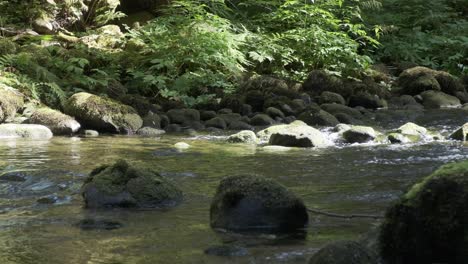 Sonnenlicht-Und-Schatten-Malen-Moosige-Flussfelsen