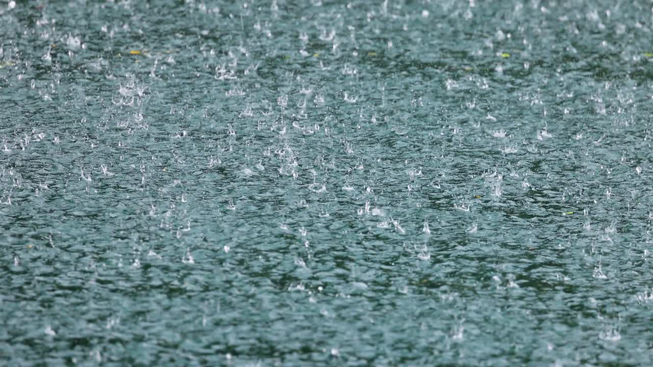 Abstract background, rain drops on the water.
