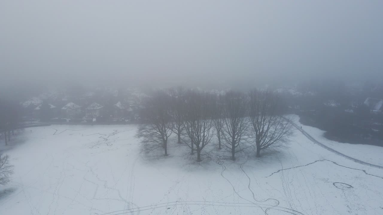 antena de un grupo de árboles en un parque cubierto de nieve desapareciendo en la niebla mientras el dron tira hacia atrás