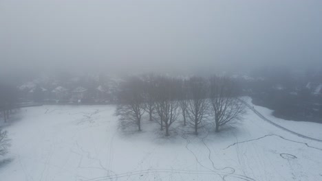 aerial of group of trees in a snow covered park disappearing in the mist while the drone pulls backwards