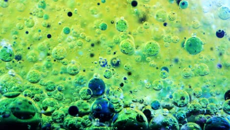 bubbles in oil and water with ink behind glass