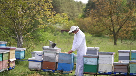 beekeeper near wooden hives on beautiful nature backdrop. apiculturist wearing protective suit and hat inspects bees in a beehive. colony of bees flying on a apiary.