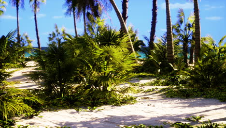 View of nice tropical beach with palms around