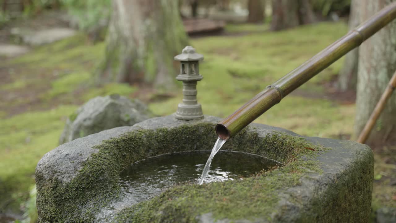 Detail of caucasian woman hands washing in a moss covered stone sink with water flowing from a bamboo stick in nature, Hakone, Japan