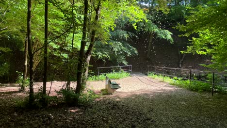 Frühlingssaat-In-Der-Luft-In-Einem-Park