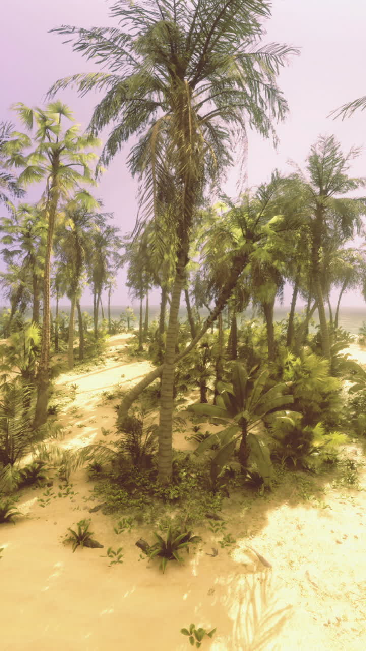 Lush tropical island with palm trees and sandy beach near the ocean