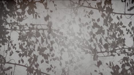 silhouetted foliage against a black background