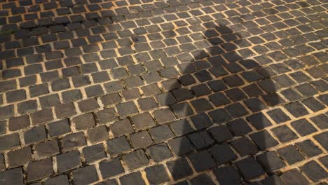 A-man-casting-his-own-shadow-while-standing-on-a-brick-street-pavement-as-other-people-pass-by-casting-their-own-shadows-as-well