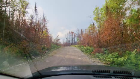 car driving through burnt forest after wildfire in greater sudbury, ontario, canada