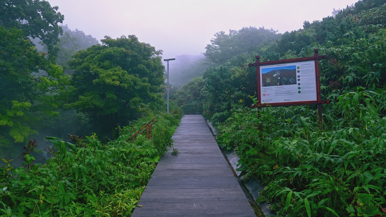 정보 표지판 을 가진 안개 숲 길