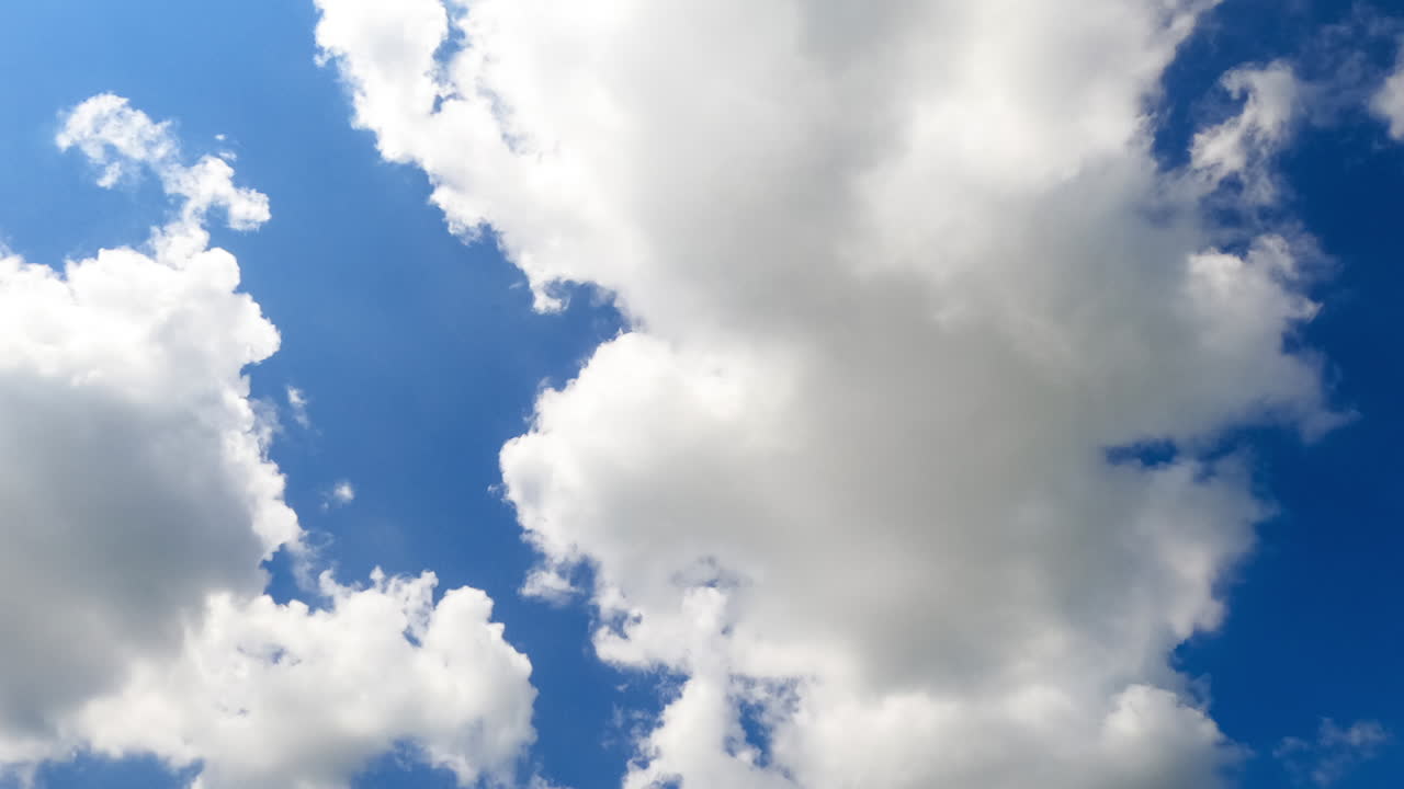 Movement of fluffy cotton clouds in the amazing blue sky. Low angle view at the horizon at daytime. Timelapse.
