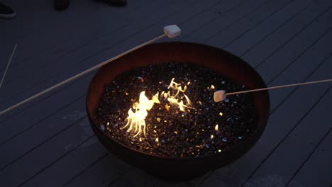 children roast marshmallows on a bonfire