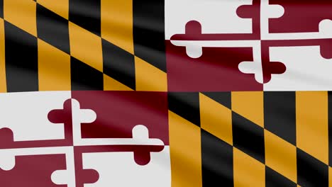 large looping animated flag of maryland