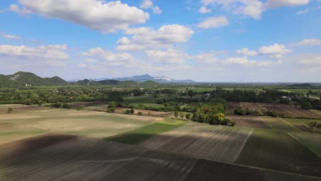 aerial drone footage over rice fields in lopburi, thailand.