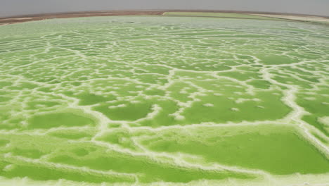 the green saline lake, natural lake background.