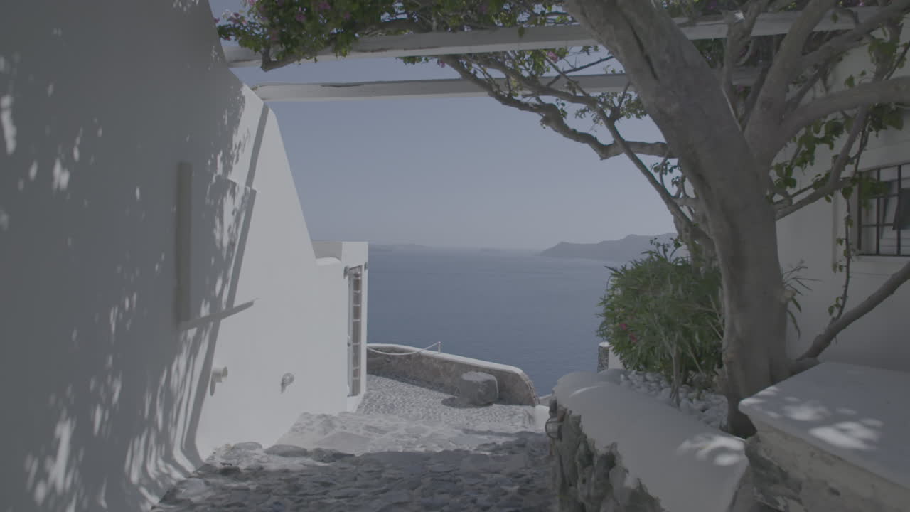 disparo de viaje hacia el mar entre las casas blancas y las paredes de santorini grecia en un día soleado debajo de un tronco de árbol