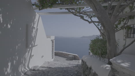 Reiseaufnahme,-Die-An-Einem-Sonnigen-Tag-Unter-Einem-Baumstamm-Zwischen-Den-Weißen-Häusern-Und-Mauern-Von-Santorini-In-Richtung-Meer-Geht