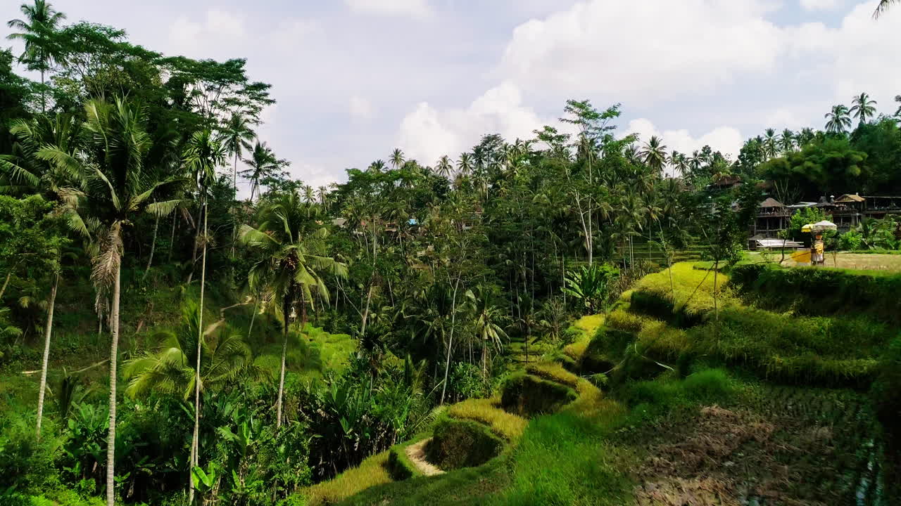 Majestic aerial footage of Mount Batur in Bali during sunrise. Glowing volcanic peaks, morning mist, and golden skies create a stunning scene—ideal for nature, travel, and adventure content