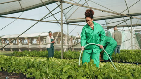 Woman,-hose-and-water-in-greenhouse