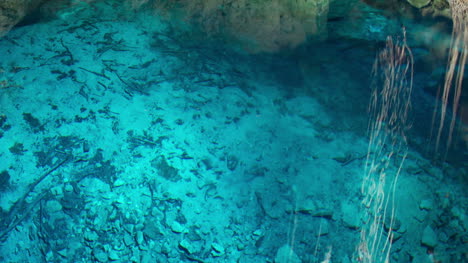 cenote cristal 04