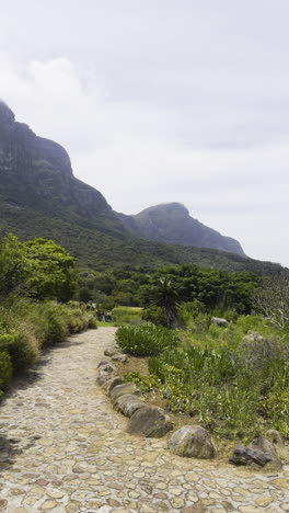 vetical video revealing mountains under cloudy sky at _kirstenbosch national botanical garden in cape town, south africa.